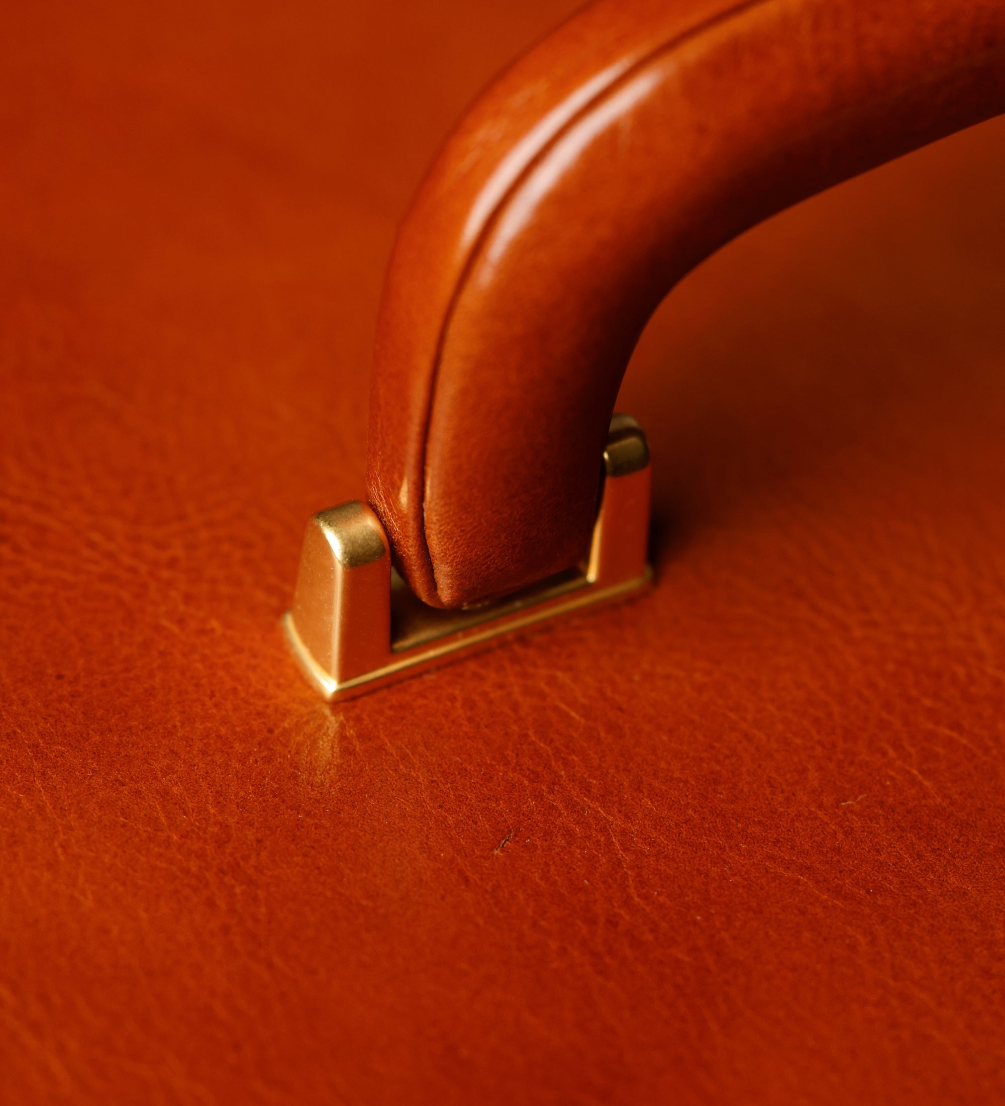 Groot leren sieradenkistje voor dames - The Portrait of a Lady