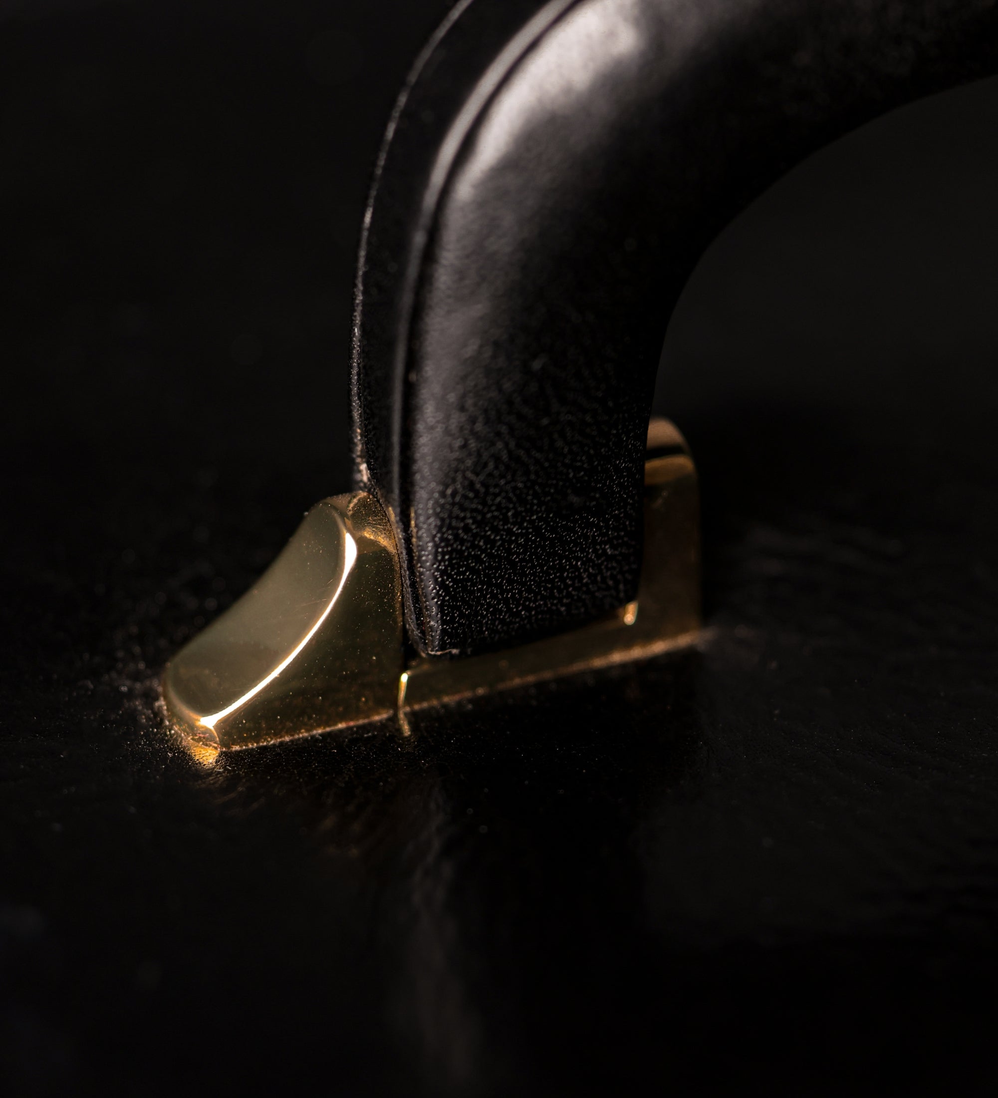 Groot leren sieradenkistje voor dames - The Portrait of a Lady