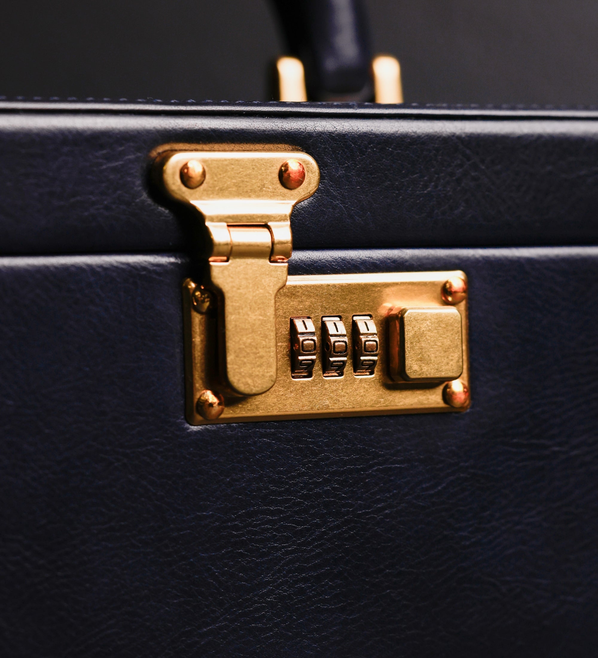 Groot leren sieradenkistje voor dames - The Portrait of a Lady